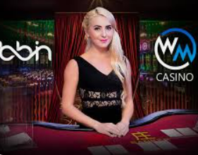 196体育经典版2024最新版